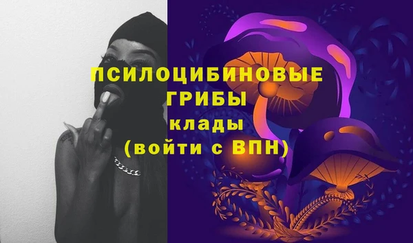 твердый Вязники